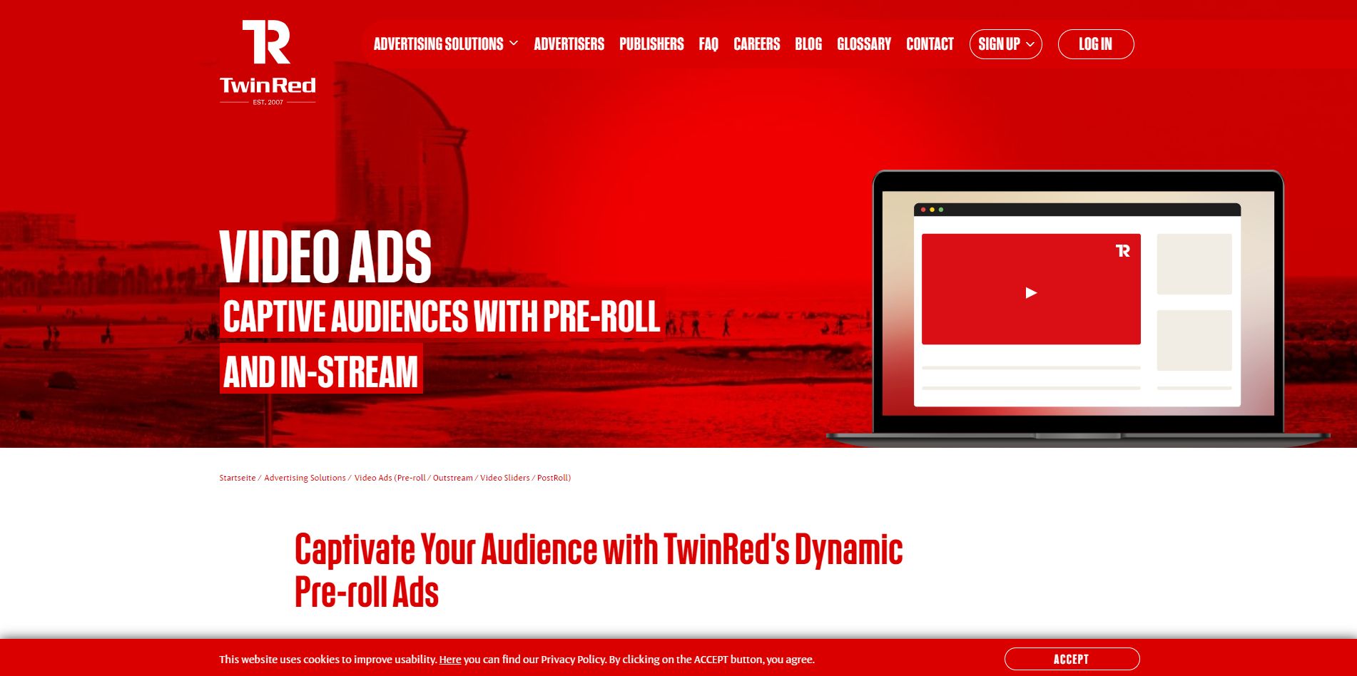 Video ads SEO page on TwinRed website